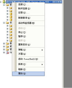 在線網(wǎng)校v5教程 程序數(shù)據(jù)庫(kù)安裝說(shuō)明 手工還原數(shù)據(jù)庫(kù)圖文說(shuō)明 安裝方法2