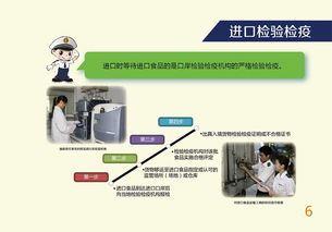 出口食品安全探秘 技術引進與風險把控的現代法則